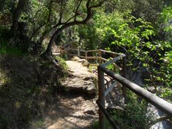 A pieds ou à vélo dans les Cinque Terre, Sentier Azzurro, Monterosso - Vernazza