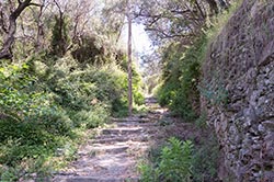 Monterosso - Wanderweg 1