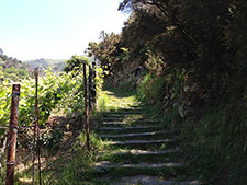 Sentiero N°3 - La strada per il santuario