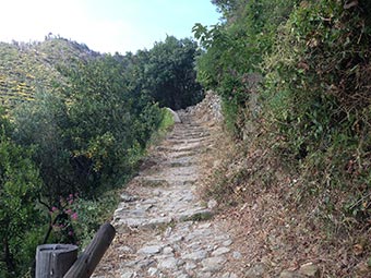 Corniglia - Trail 1